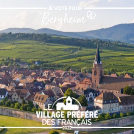 Appartamento Vue Splendide Au Coeur Des Vignes Bergheim Esterno foto