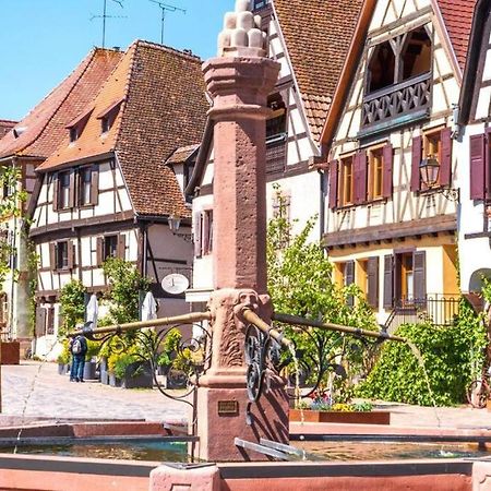 Appartamento Vue Splendide Au Coeur Des Vignes Bergheim Esterno foto