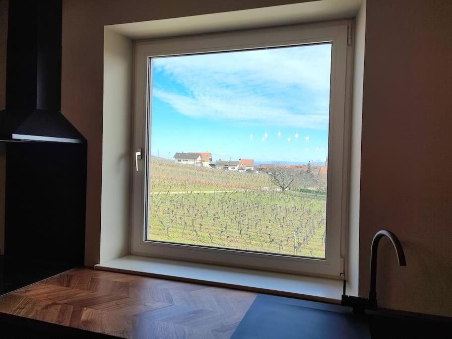 Appartamento Vue Splendide Au Coeur Des Vignes Bergheim Esterno foto