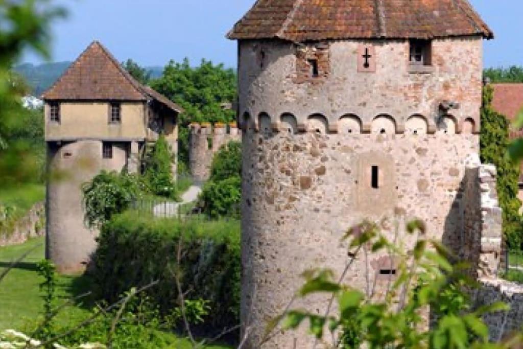 Appartamento Vue Splendide Au Coeur Des Vignes Bergheim Esterno foto